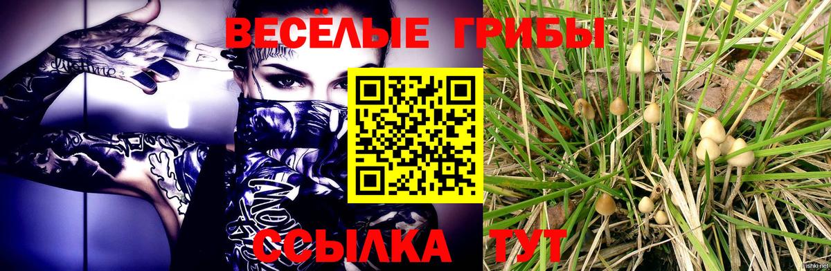 Саратов  Галлюциногенные грибы ЛСД  сколько стоит  Псилоцибиновые грибы Psilocybe  Вход с VPN 