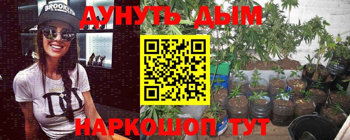 Саратов  Бошки марихуана план  Марихуана White Widow  Вход с VPN  МАРИХУАНА планчик 