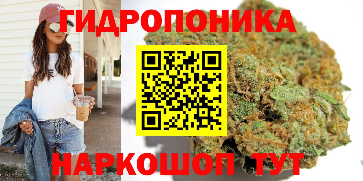 Конопля семена Саратов